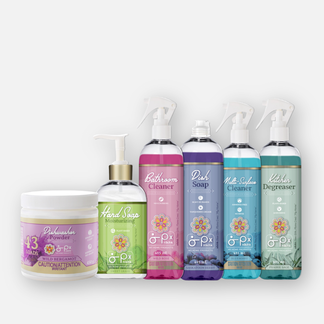 Cleaning Care Kit
