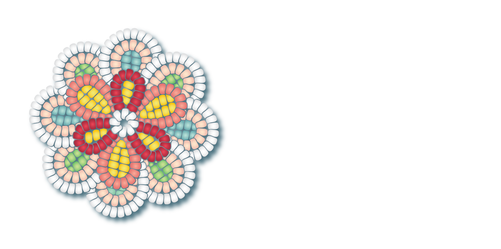 Nikihk